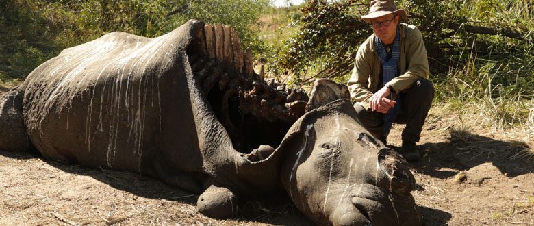 Saving Africa's Elephants: Hugh and the Ivory War - KEO Films